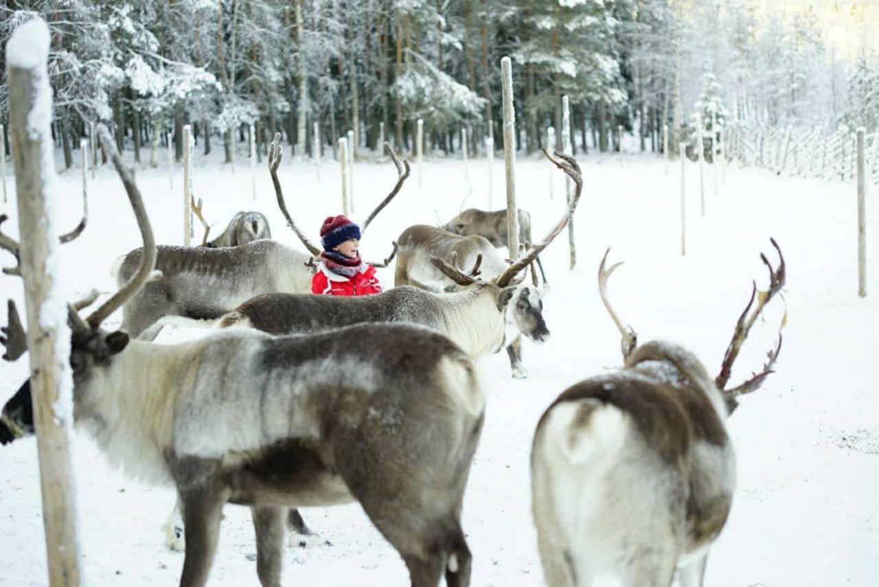 Arctic Oasis Apartments Rovaniemi Luaran gambar